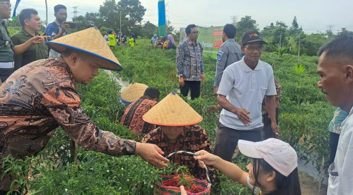 Jambi